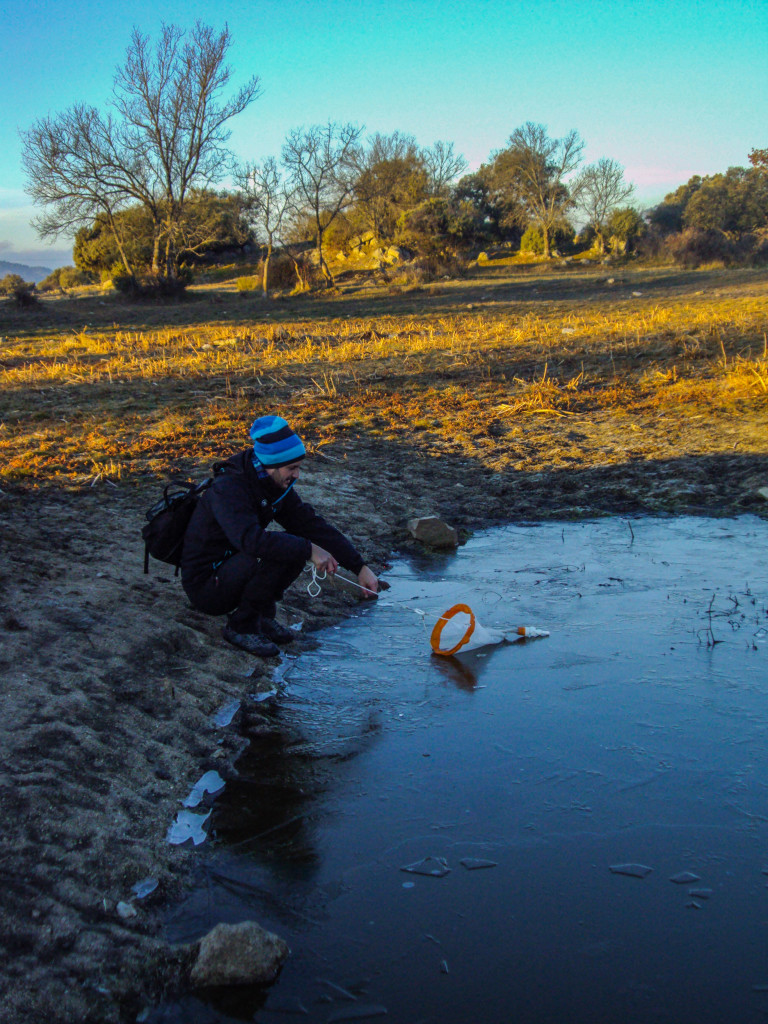 Sampling frozen ponds near Madrid