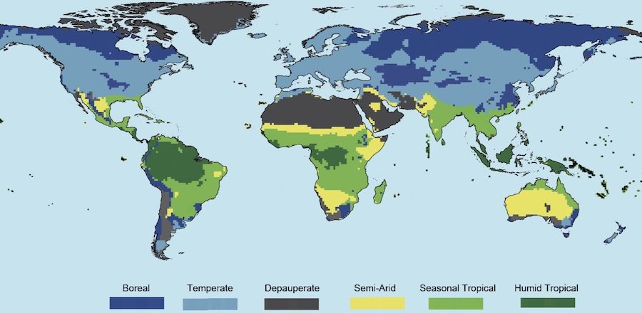 Biogeographic analysis of trophic structures reveals the signature of climate and people