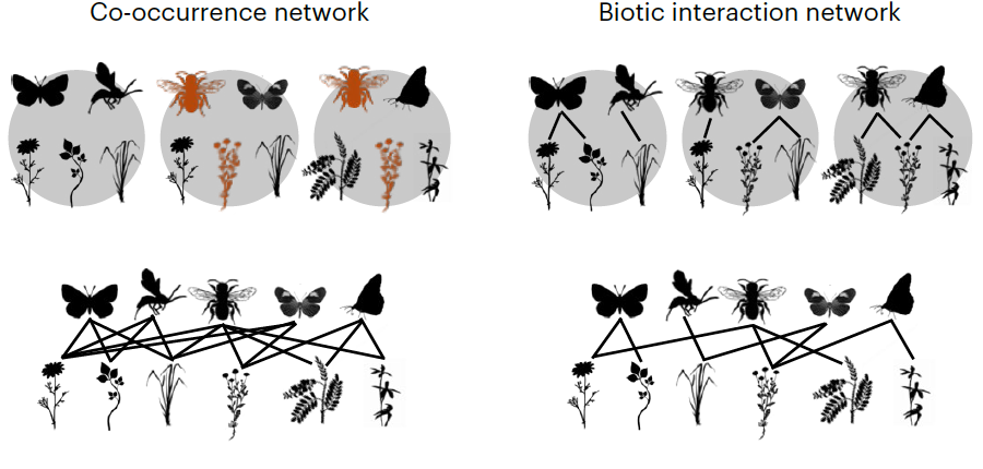 Novel approach to deciphering ecological interactions